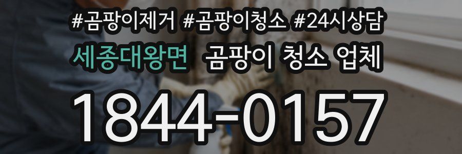 세종대왕면 곰팡이 청소 업체