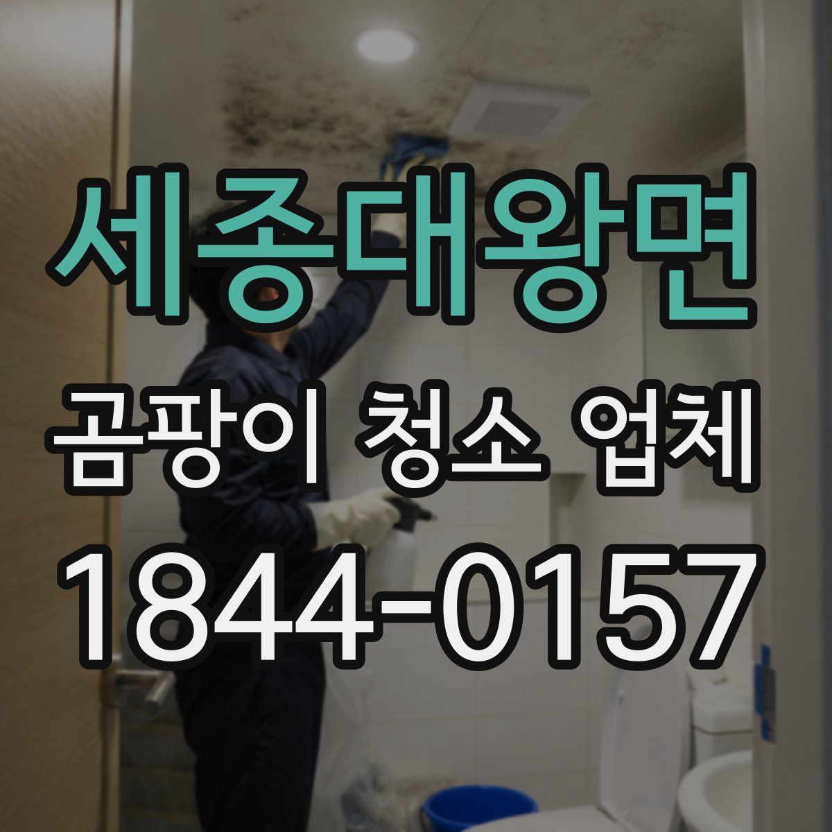 세종대왕면 곰팡이 청소 업체