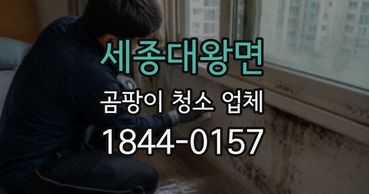 세종대왕면 곰팡이 청소 업체