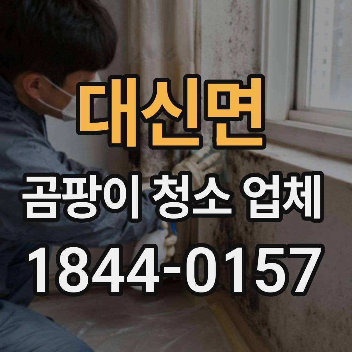 대신면 곰팡이 청소 업체 아이와 반려동물 공간에서 더 살펴볼 점
