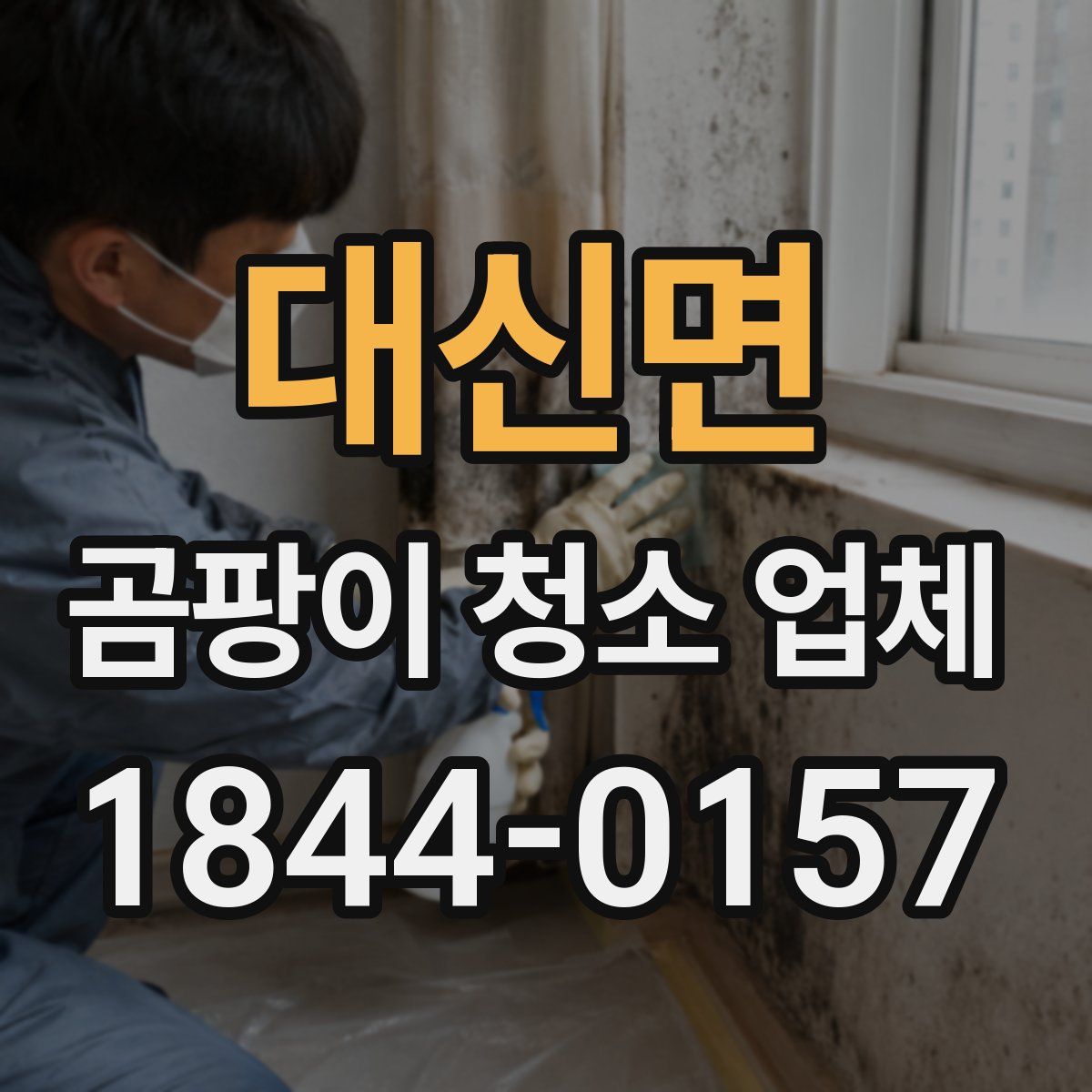 대신면 곰팡이 청소 업체