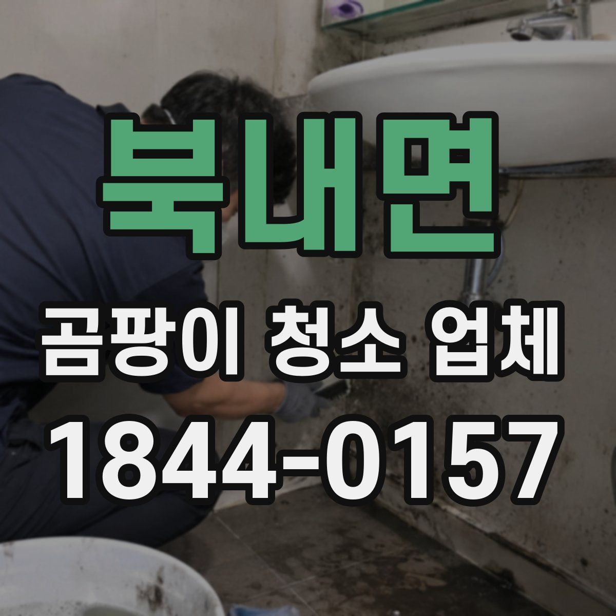 북내면 곰팡이 청소 업체