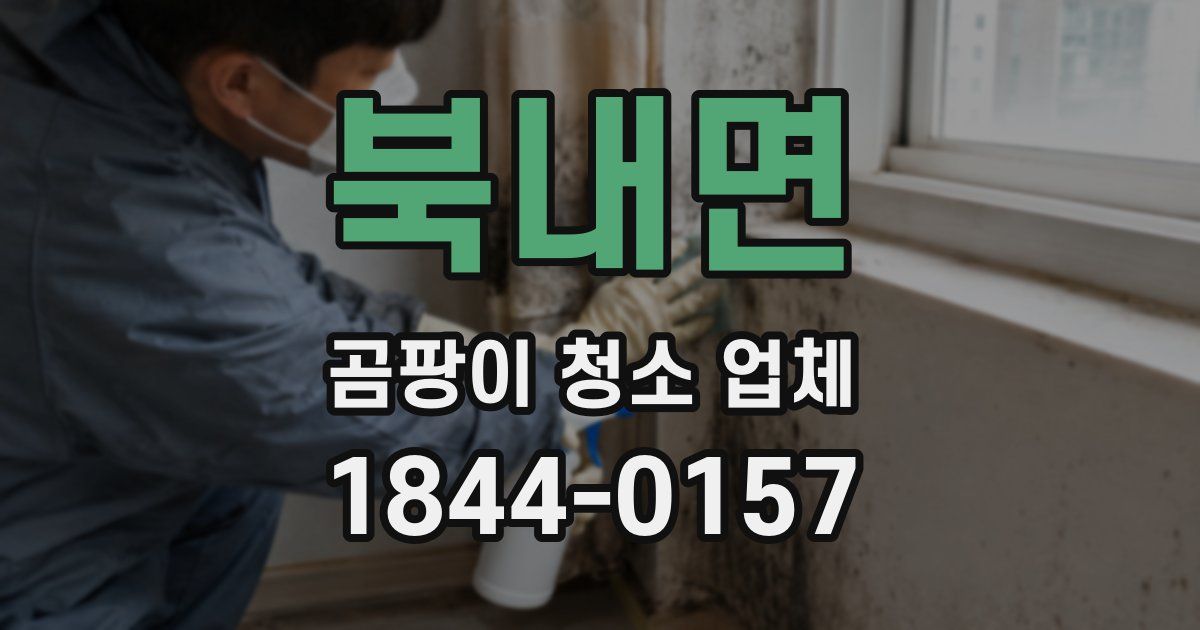 북내면 곰팡이 청소 업체