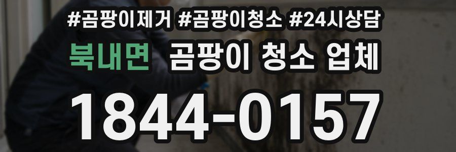 북내면 곰팡이 청소 업체