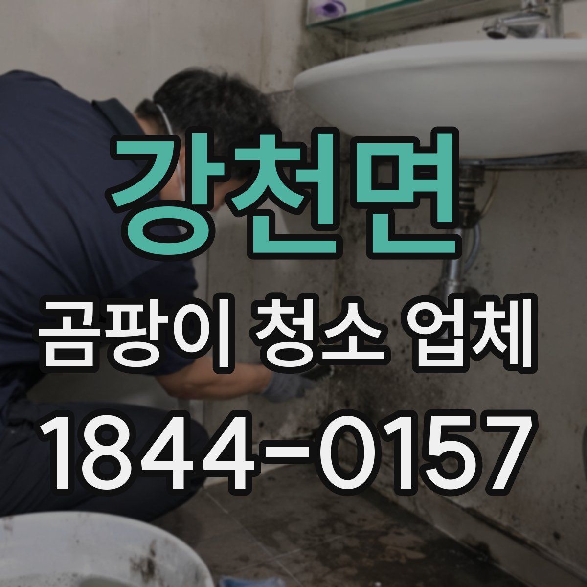 강천면 곰팡이 청소 업체