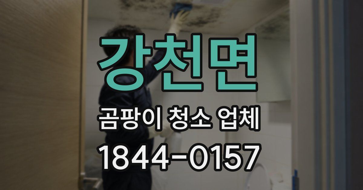 강천면 곰팡이 청소 업체