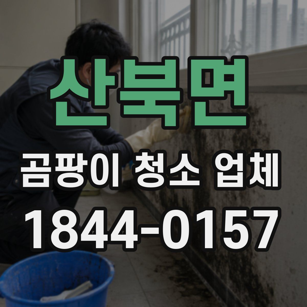 산북면 곰팡이 청소 업체