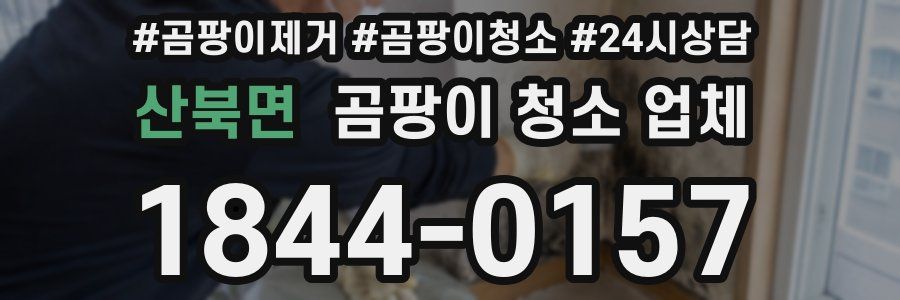 산북면 곰팡이 청소 업체