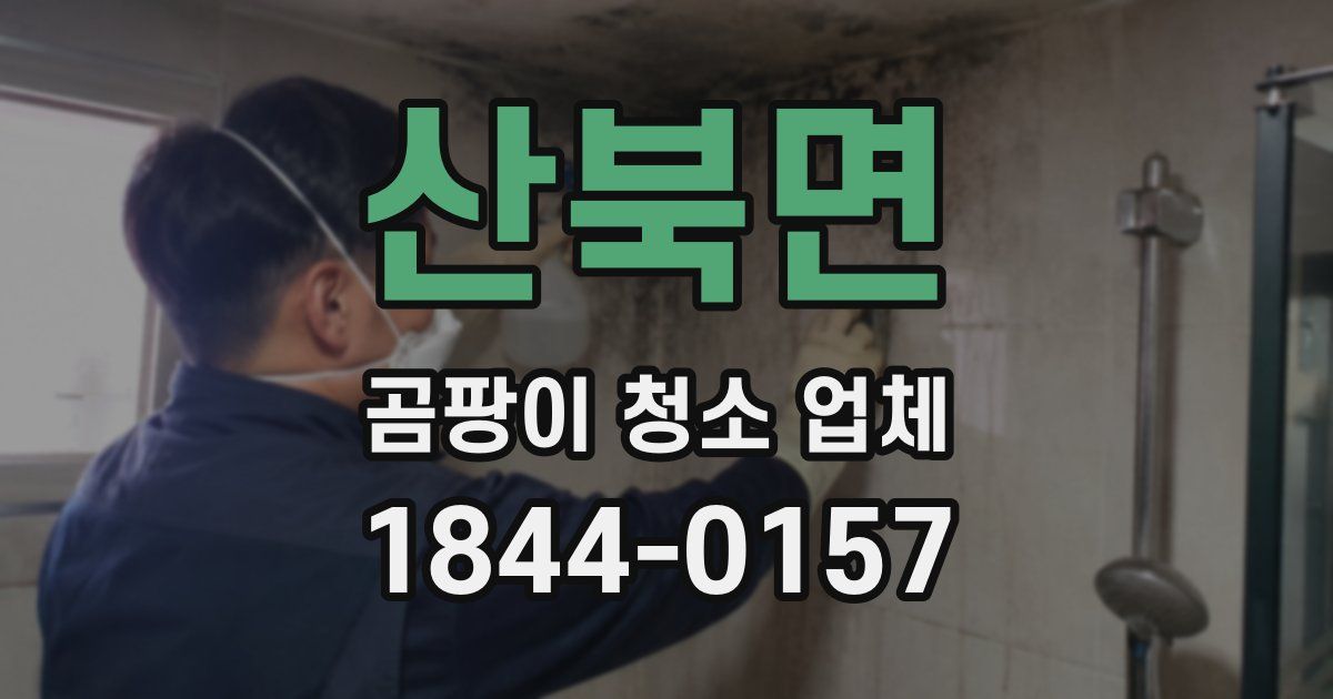 산북면 곰팡이 청소 업체