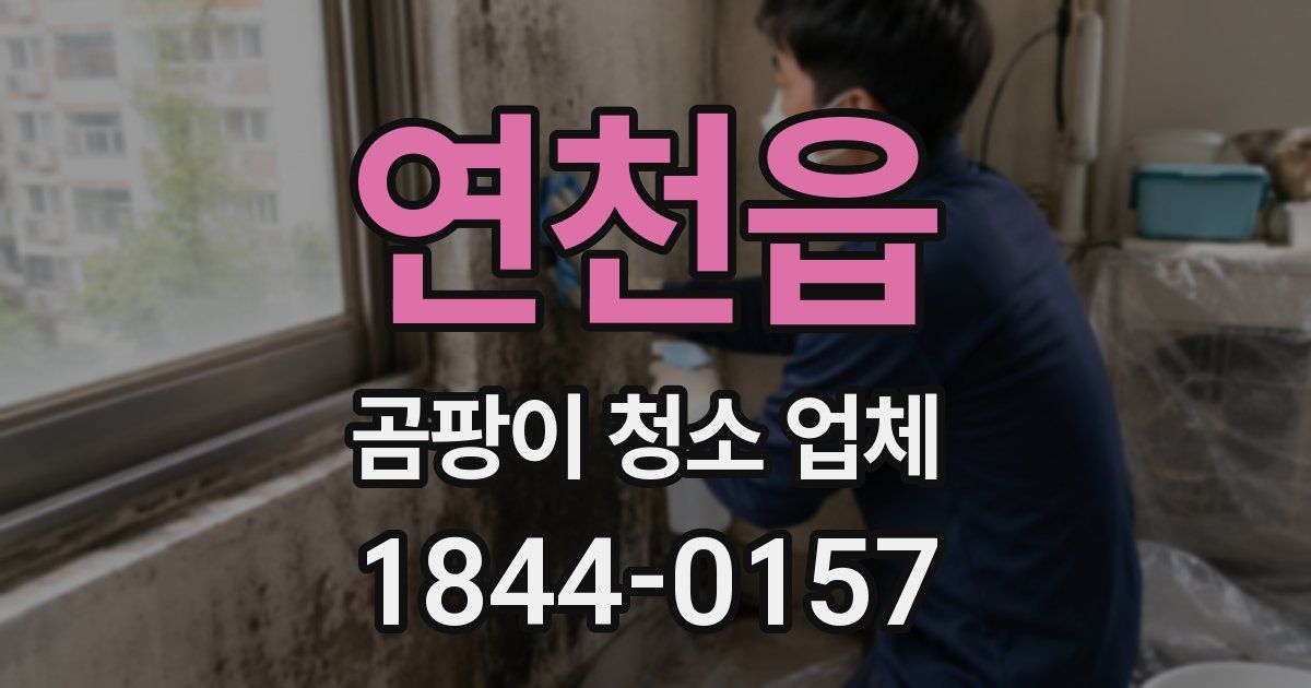 연천읍 곰팡이 청소 업체