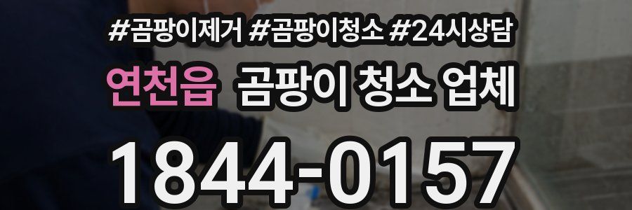연천읍 곰팡이 청소 업체