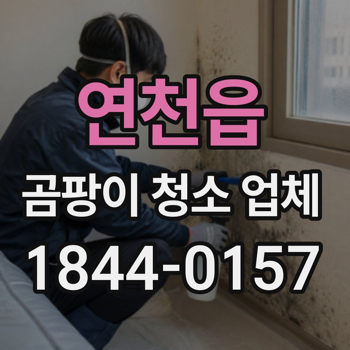 연천읍 곰팡이 청소 업체