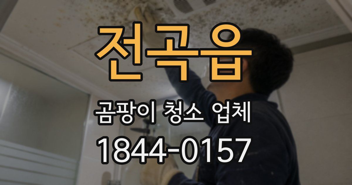 전곡읍 곰팡이 청소 업체