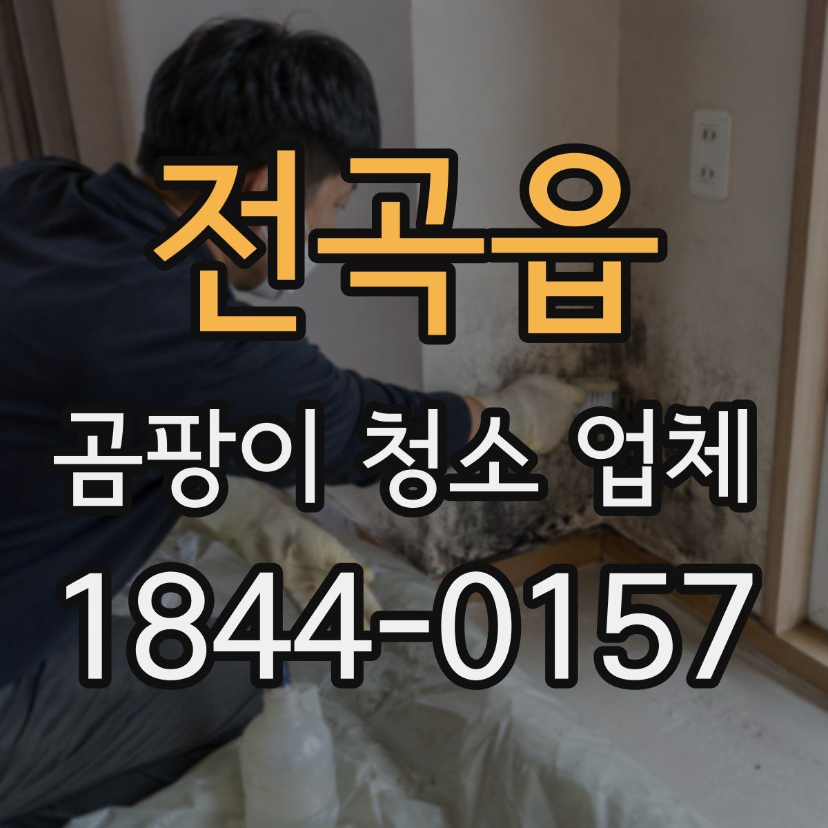 전곡읍 곰팡이 청소 업체