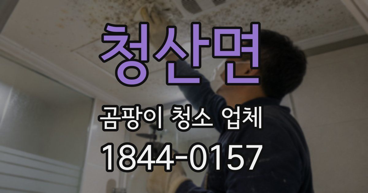 청산면 곰팡이 청소 업체