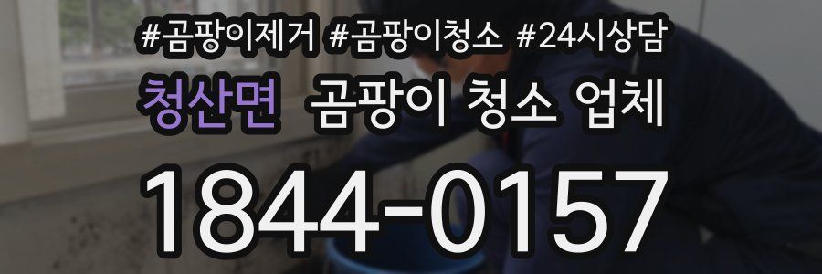 청산면 곰팡이 청소 업체