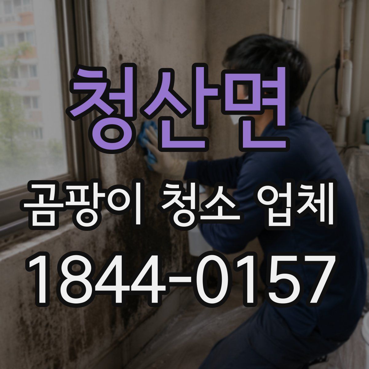 청산면 곰팡이 청소 업체