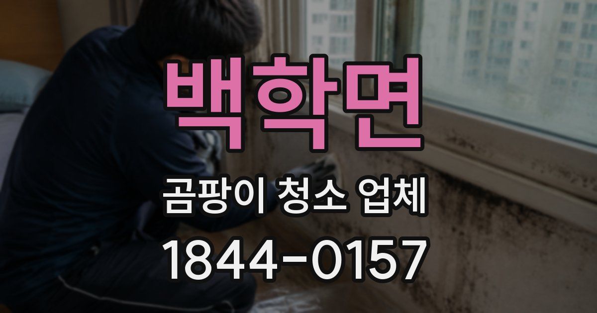 백학면 곰팡이 청소 업체