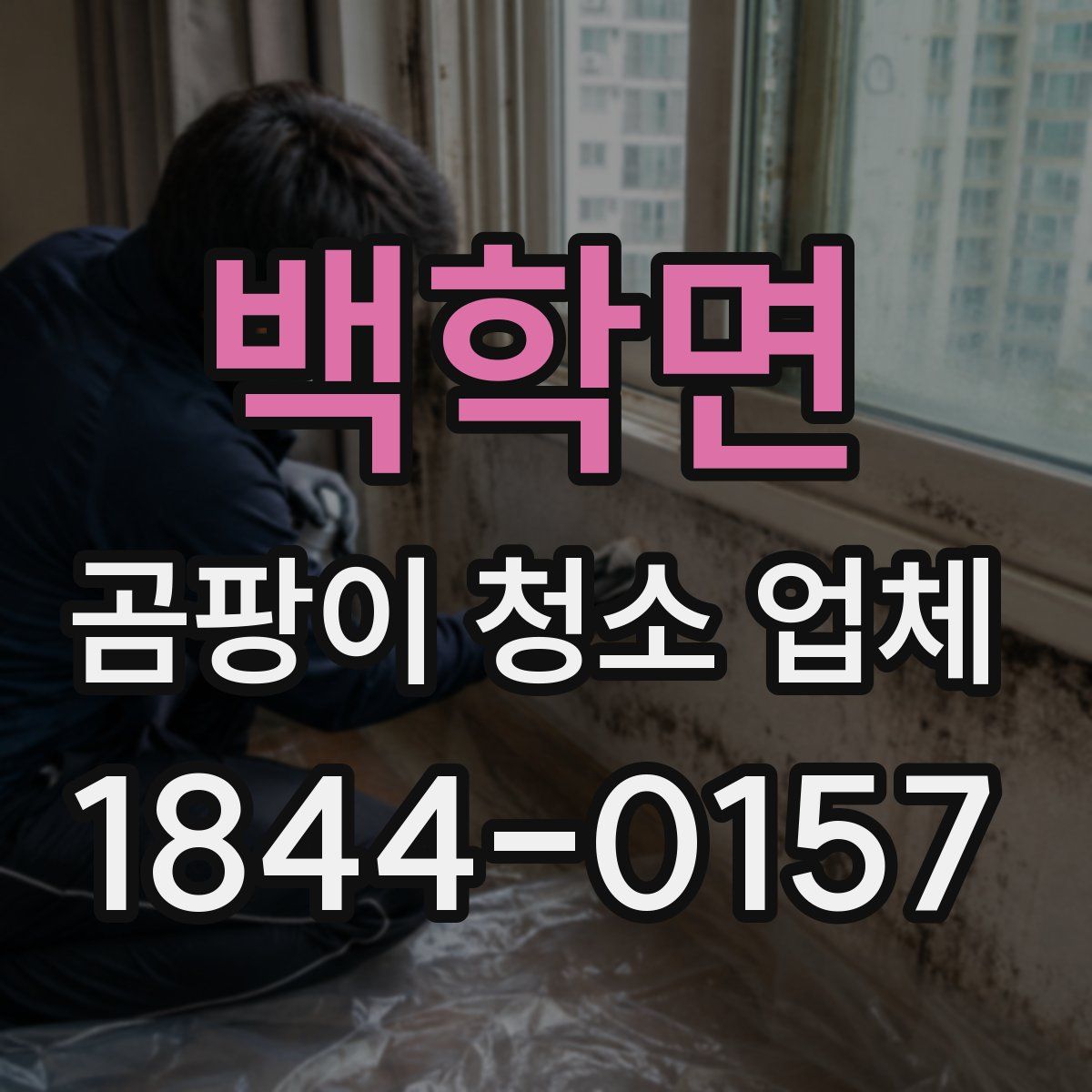 백학면 곰팡이 청소 업체