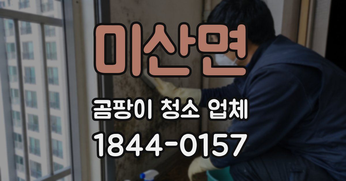 미산면 곰팡이 청소 업체