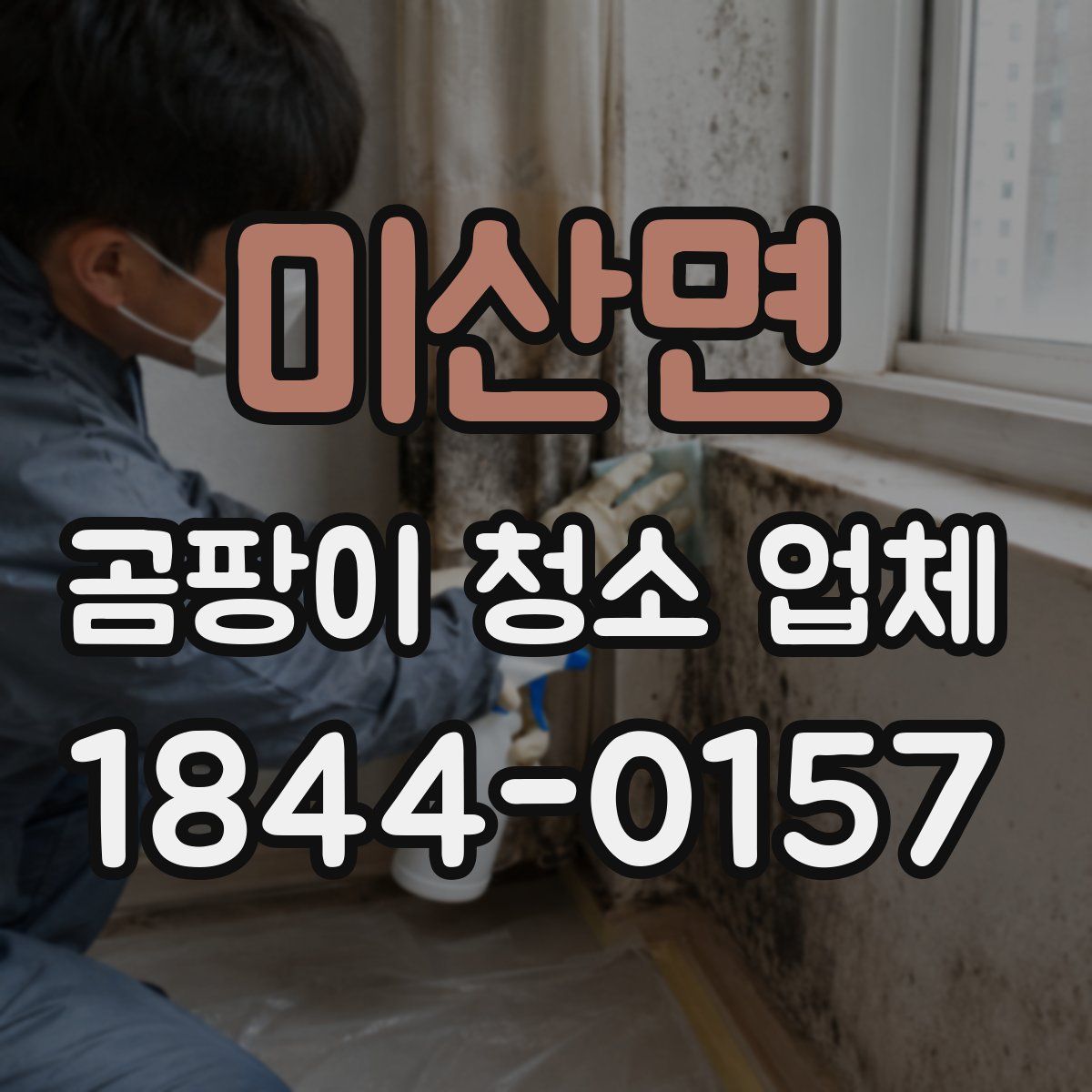 미산면 곰팡이 청소 업체
