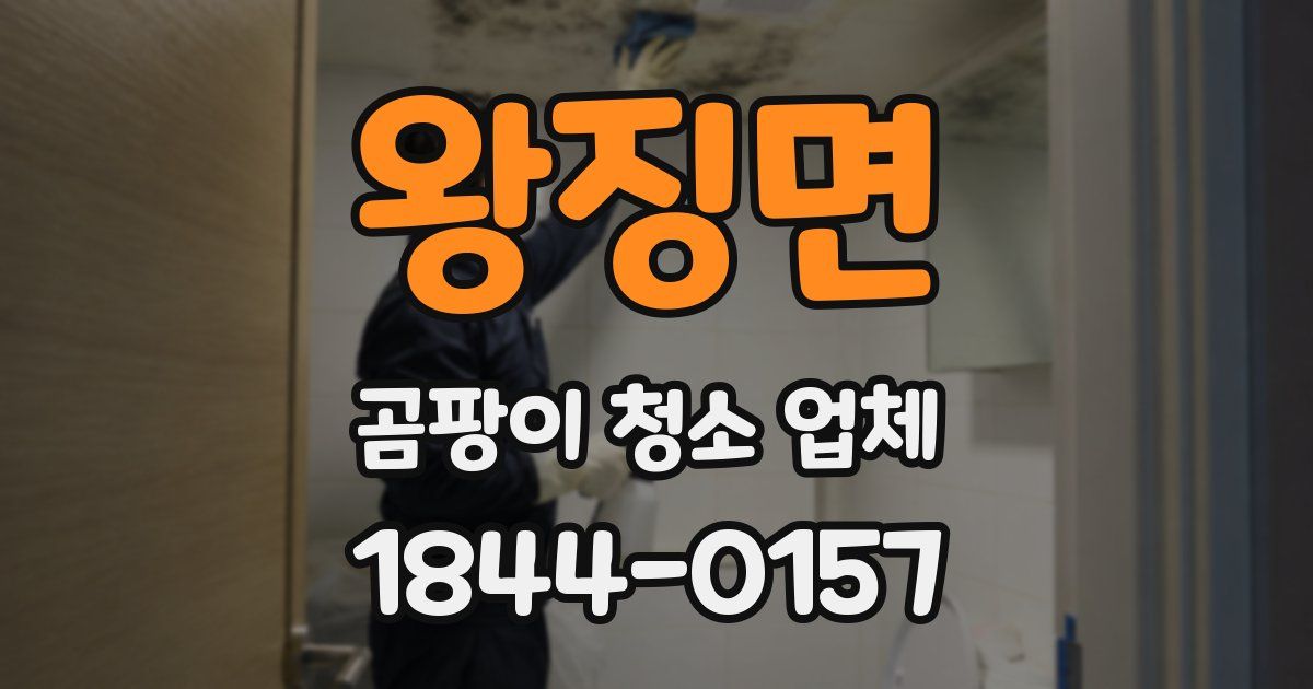 왕징면 곰팡이 청소 업체