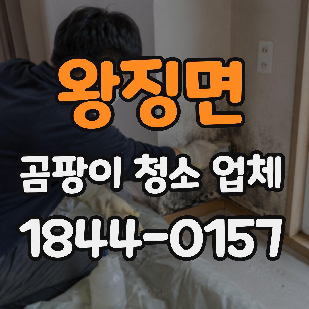 왕징면 곰팡이 청소 업체