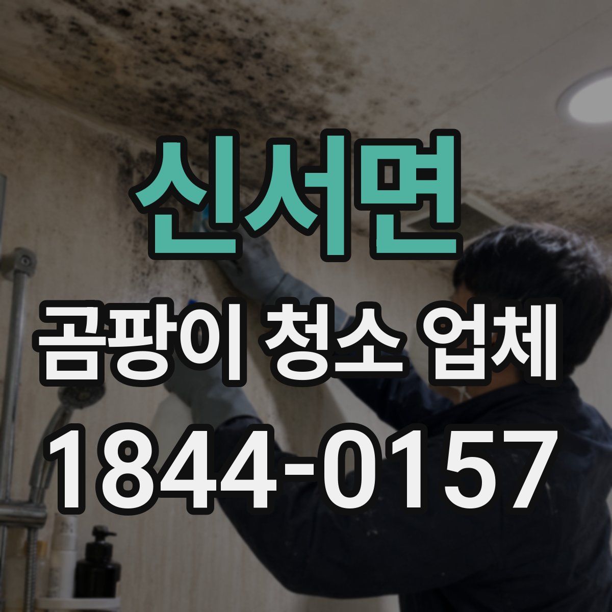 신서면 곰팡이 청소 업체