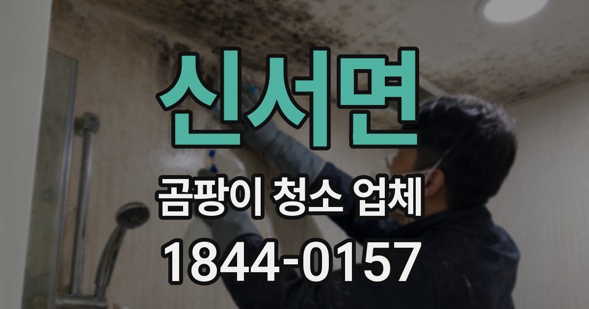 신서면 곰팡이 청소 업체