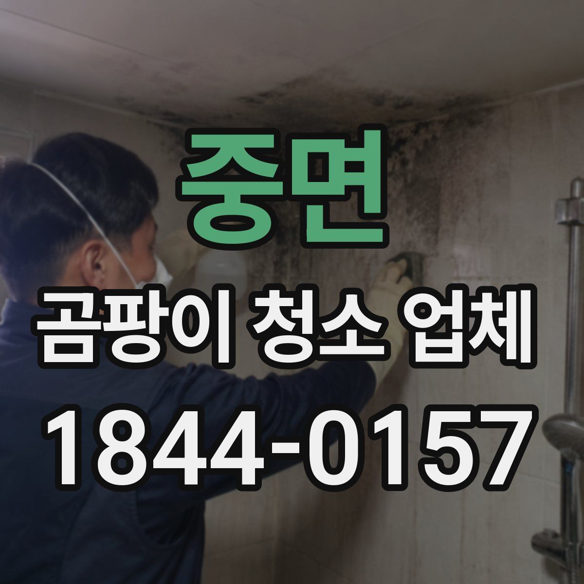 중면 곰팡이 청소 업체
