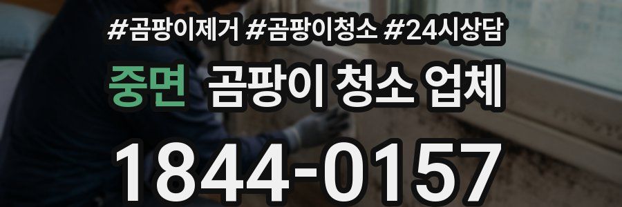 중면 곰팡이 청소 업체