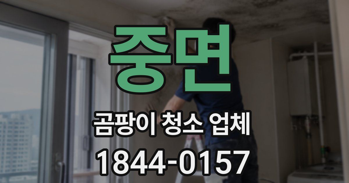 중면 곰팡이 청소 업체