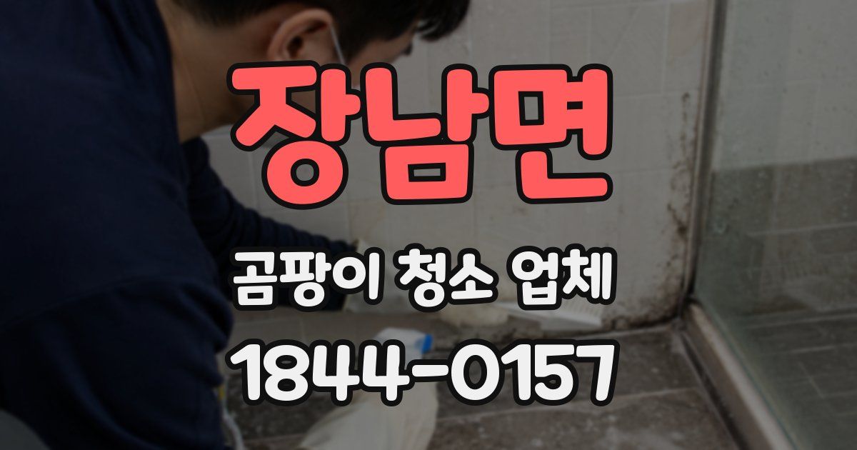 장남면 곰팡이 청소 업체