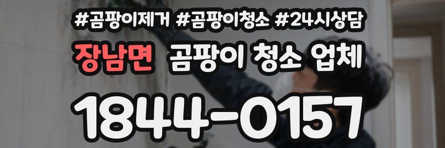 장남면 곰팡이 청소 업체