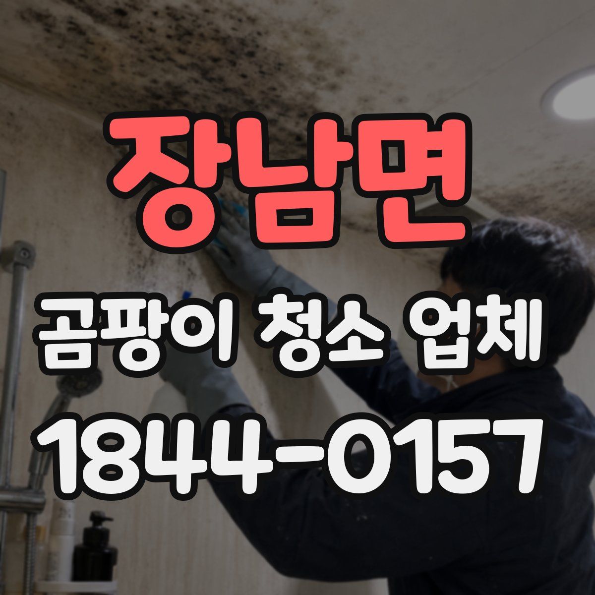 장남면 곰팡이 청소 업체