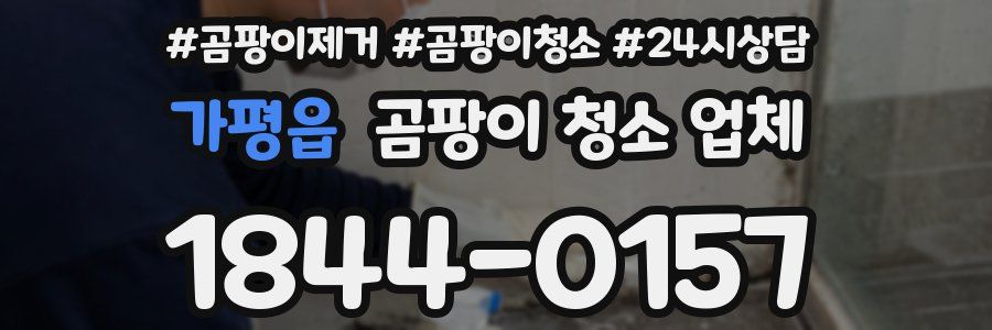 가평읍 곰팡이 청소 업체