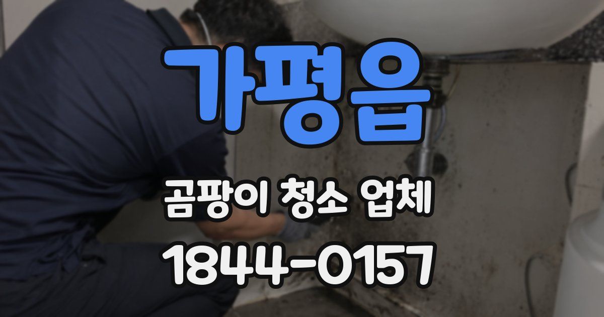 가평읍 곰팡이 청소 업체