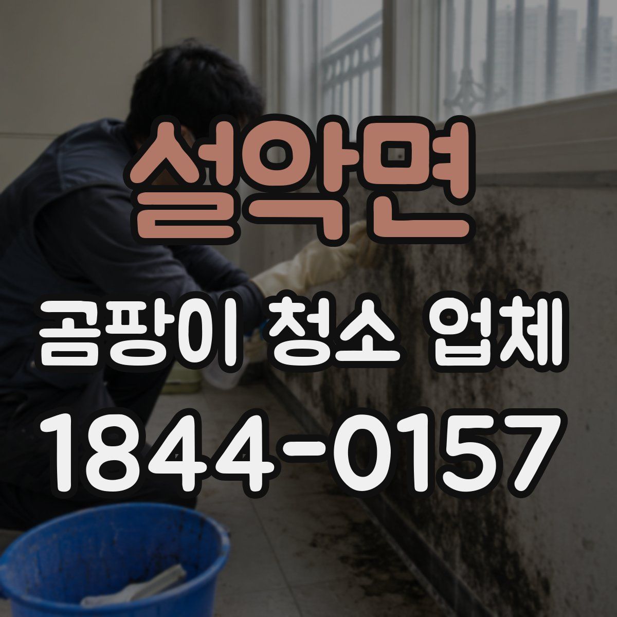 설악면 곰팡이 청소 업체