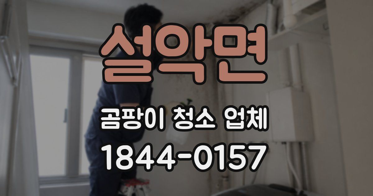 설악면 곰팡이 청소 업체