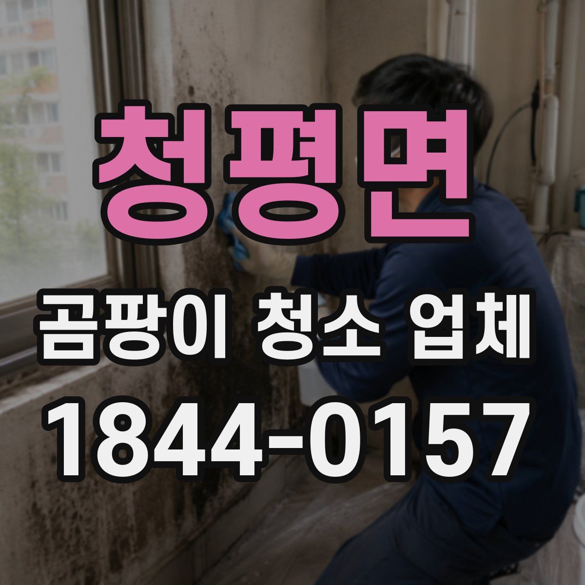 청평면 곰팡이 청소 업체