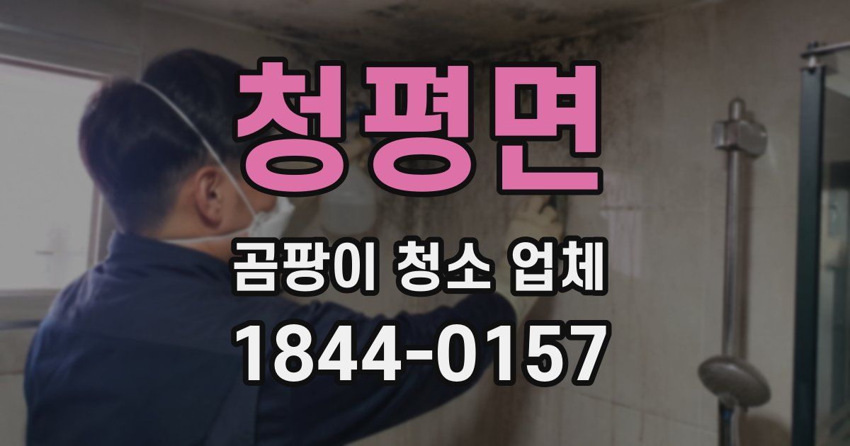 청평면 곰팡이 청소 업체