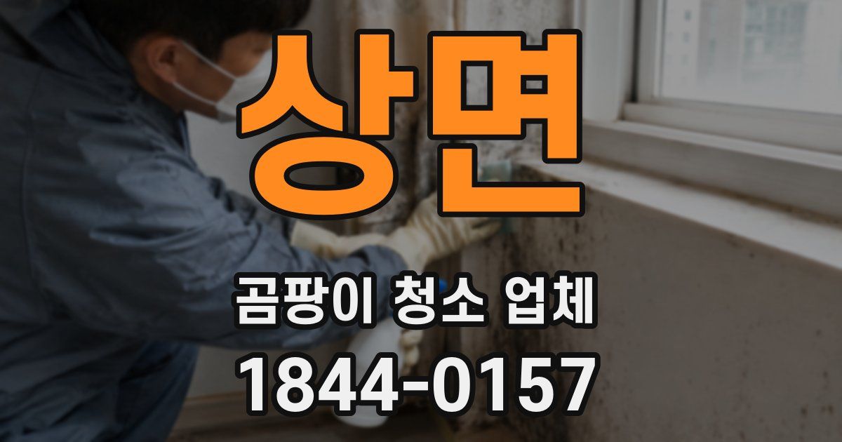 상면 곰팡이 청소 업체