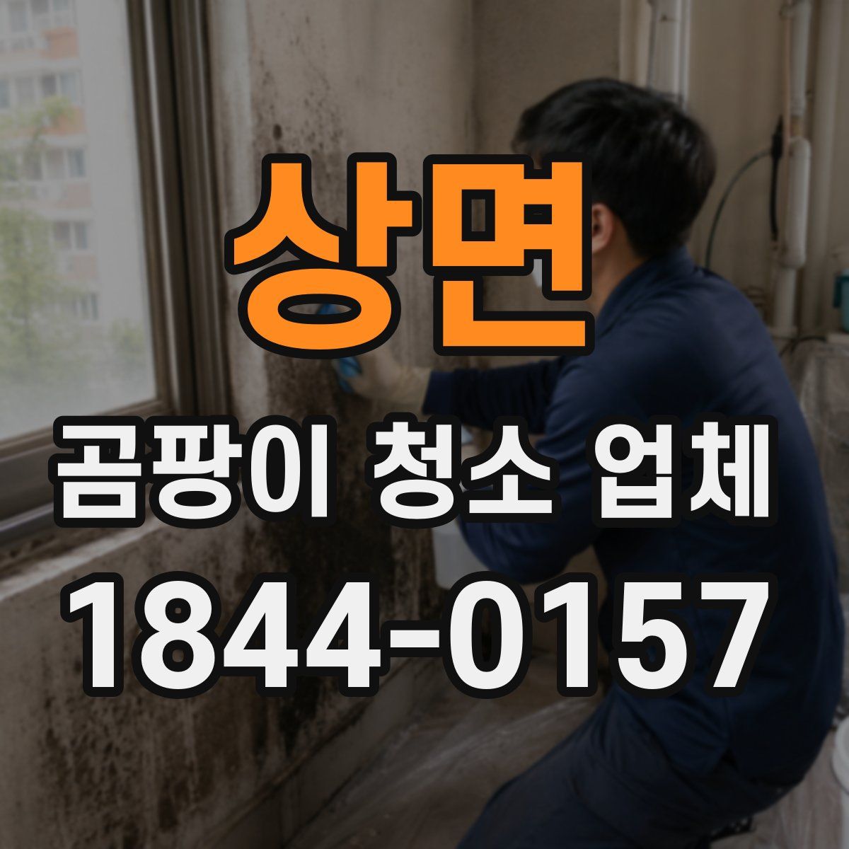 상면 곰팡이 청소 업체