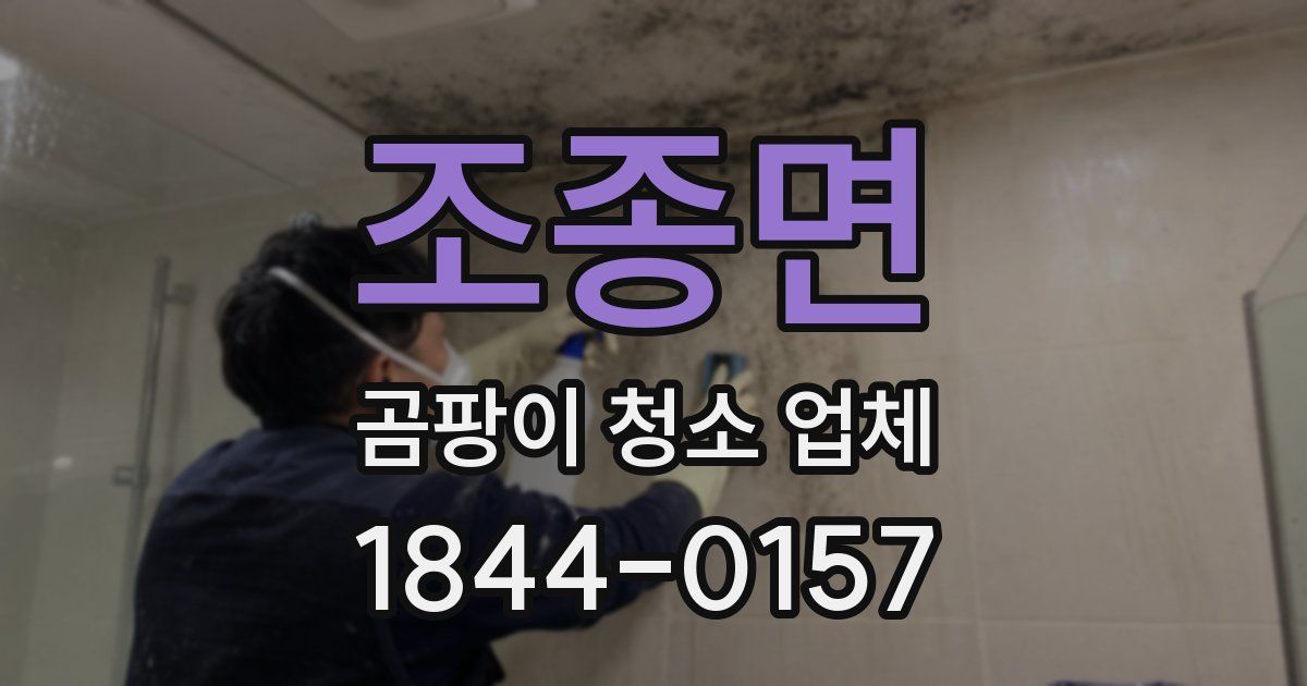 조종면 곰팡이 청소 업체