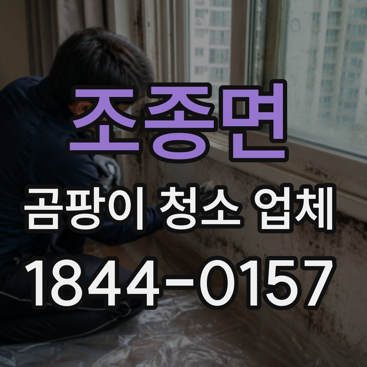 조종면 곰팡이 청소 업체