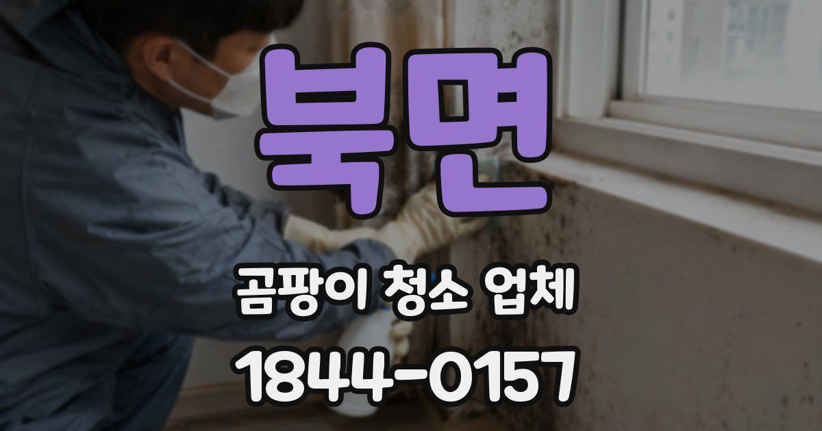 북면 곰팡이 청소 업체