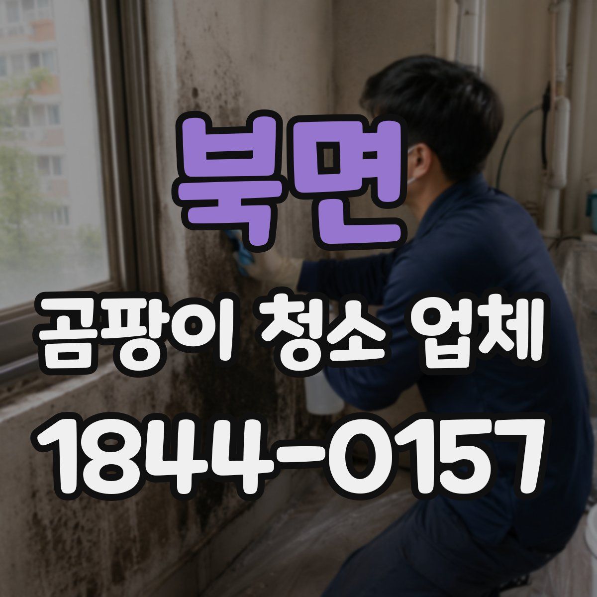 북면 곰팡이 청소 업체