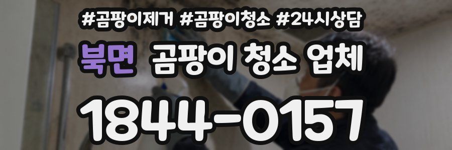 북면 곰팡이 청소 업체