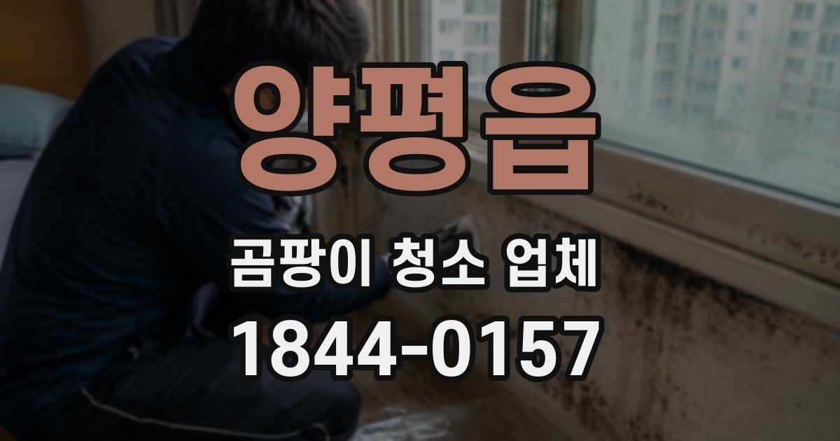 양평읍 곰팡이 청소 업체