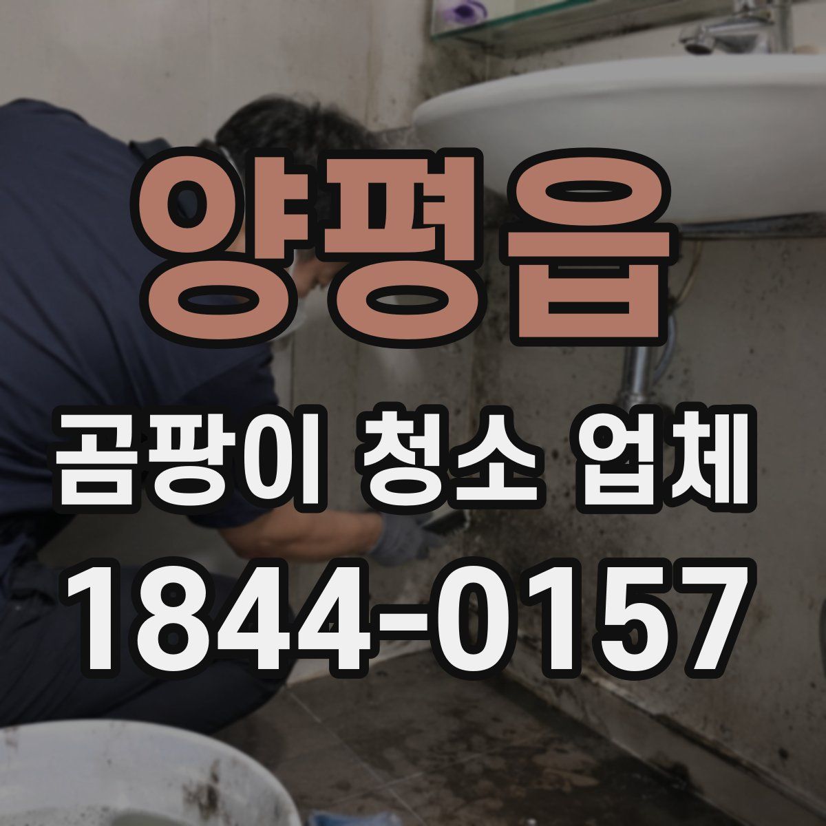 양평읍 곰팡이 청소 업체